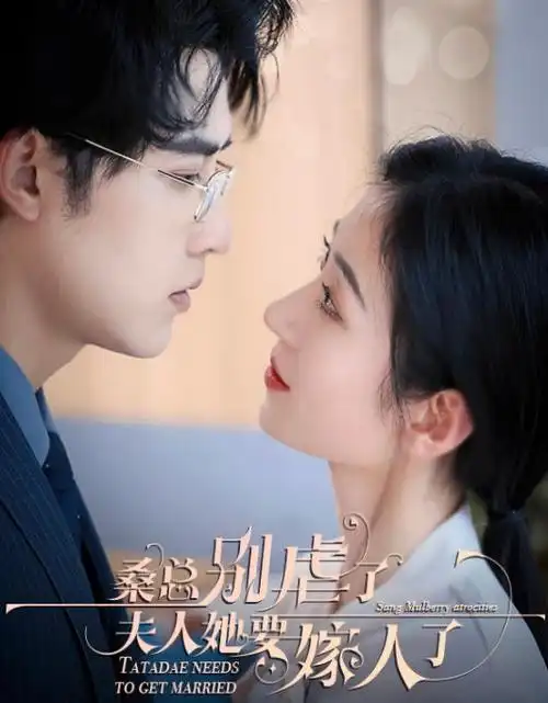 长夜有灯热播电视剧全集免费观看